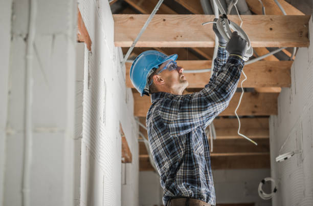 Best Electric Panel Repair  in Hudson Lake, IN